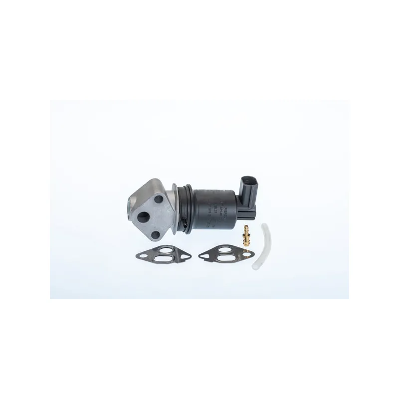 Vanne EGR WAHLER 710971R