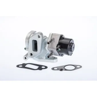 Vanne EGR WAHLER 710972R