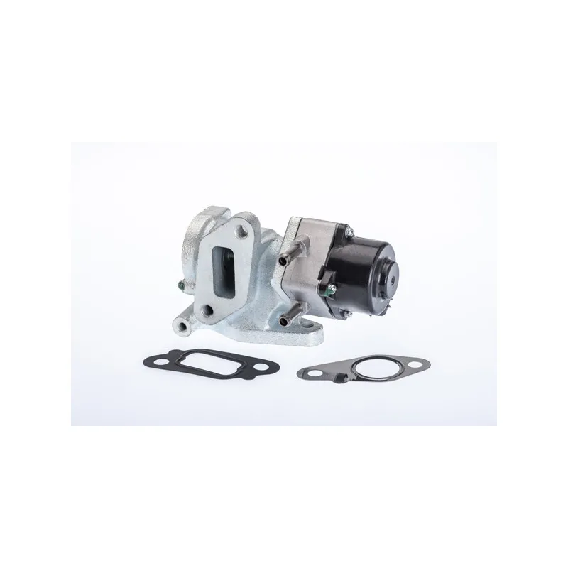 Vanne EGR WAHLER 710972R