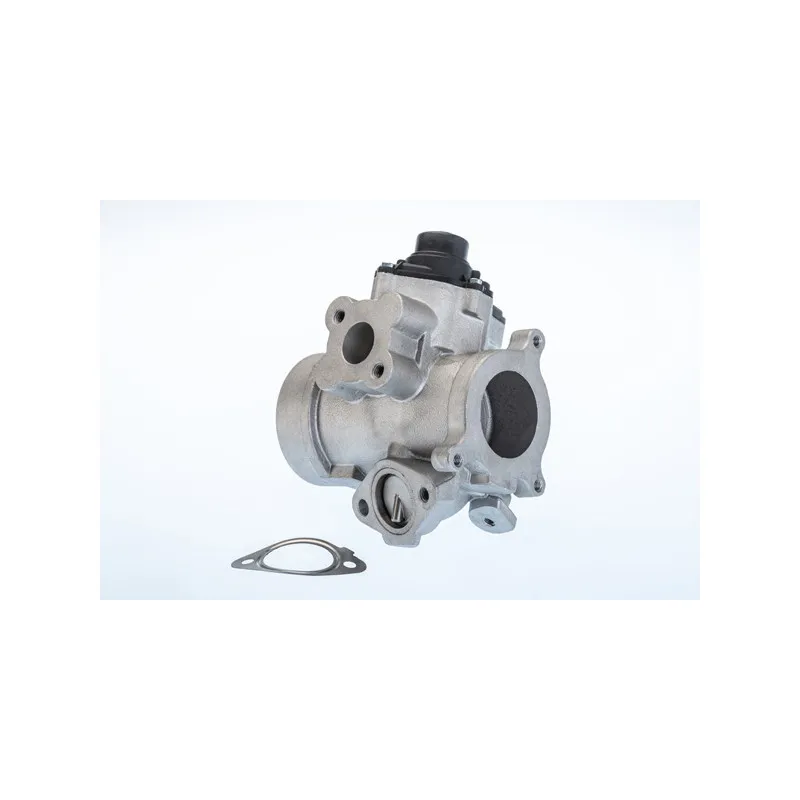 Vanne EGR WAHLER 710974R