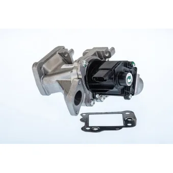 Vanne EGR WAHLER 710975R