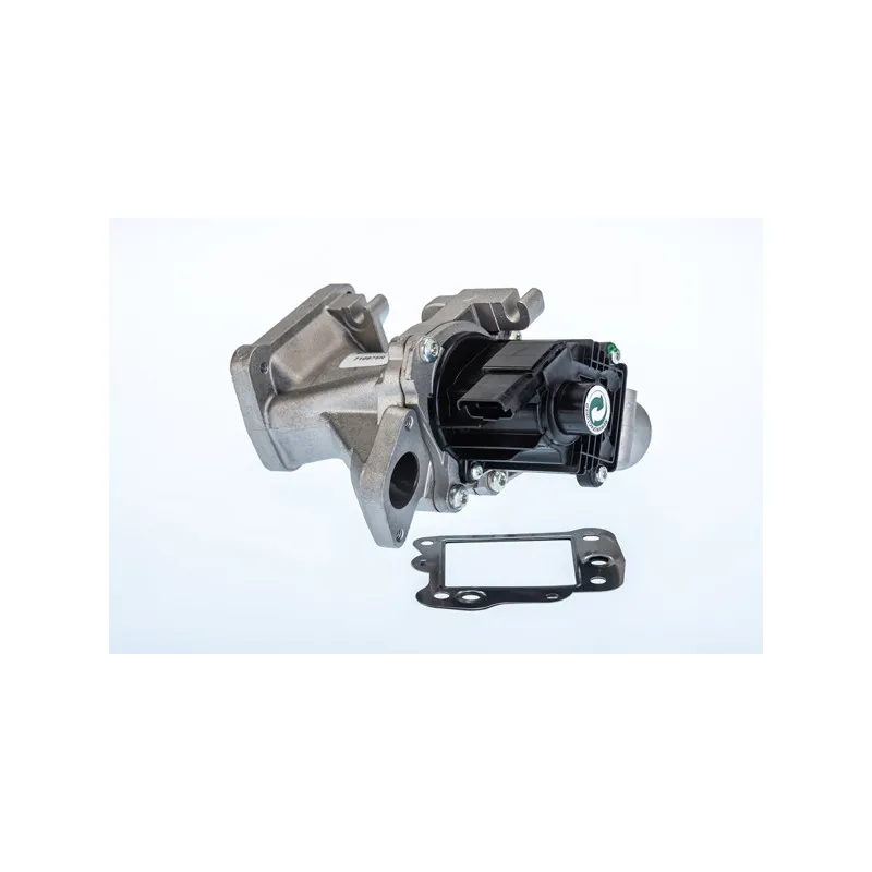 Vanne EGR WAHLER 710975R