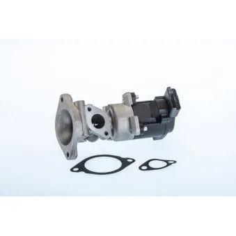 Vanne EGR WAHLER 710976R