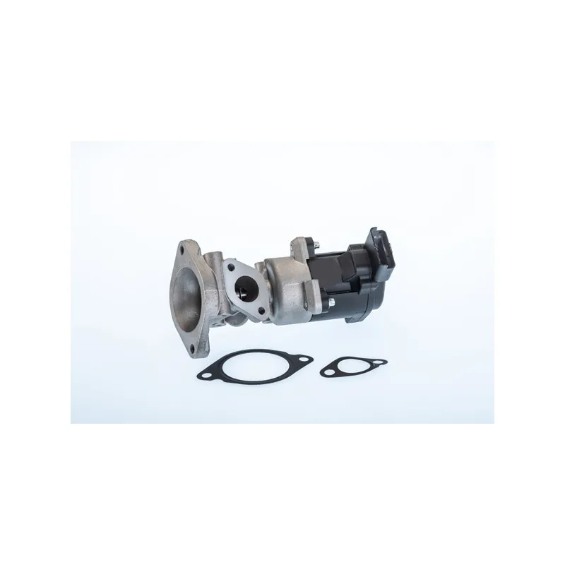 Vanne EGR WAHLER 710976R