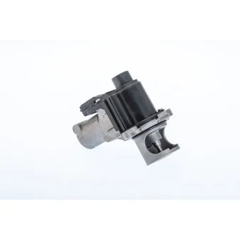 Vanne EGR WAHLER 710977R