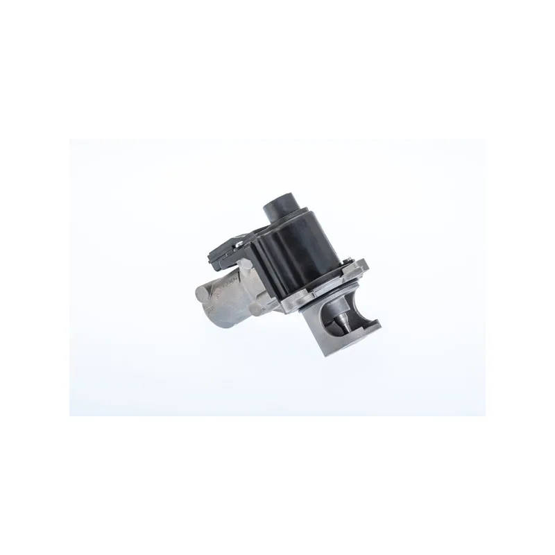 Vanne EGR WAHLER 710977R