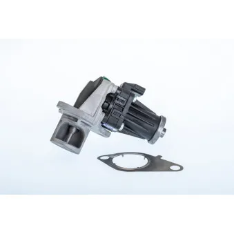 Vanne EGR WAHLER 710978R