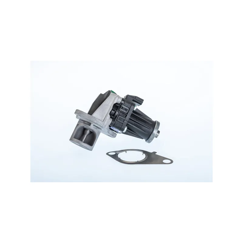 Vanne EGR WAHLER 710978R