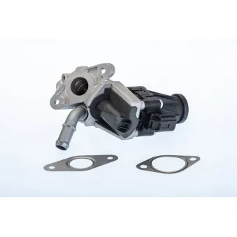 Vanne EGR WAHLER 710979R