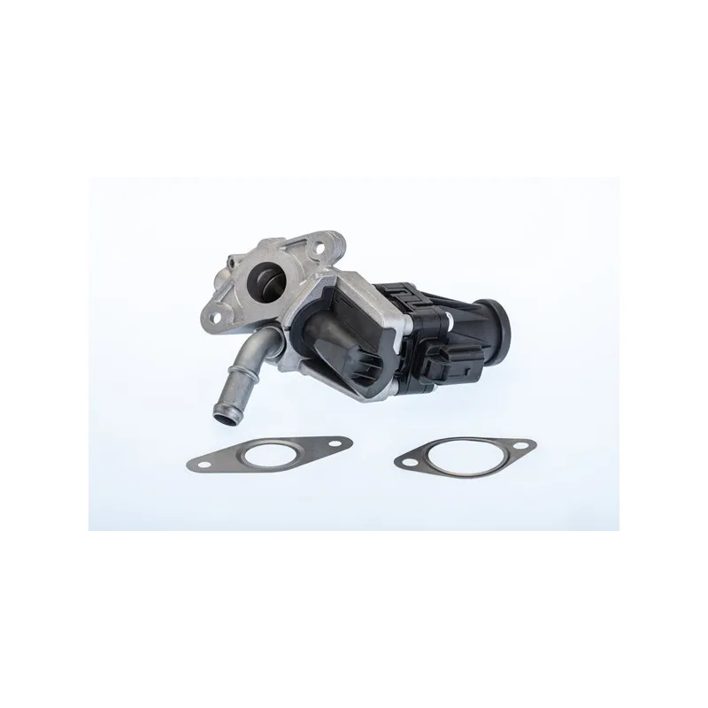 Vanne EGR WAHLER 710979R