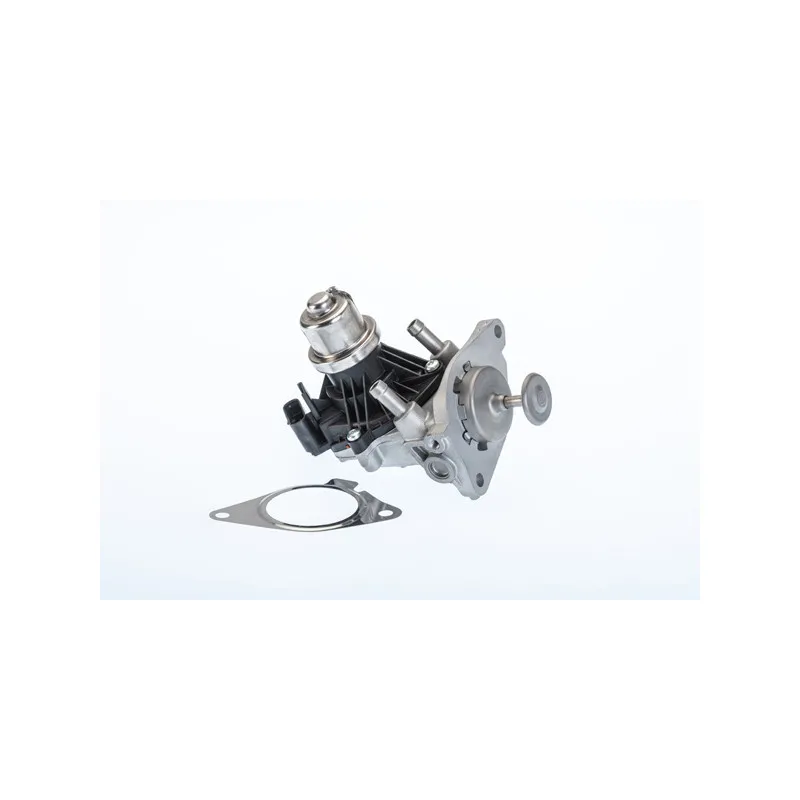 Vanne EGR WAHLER 710980R