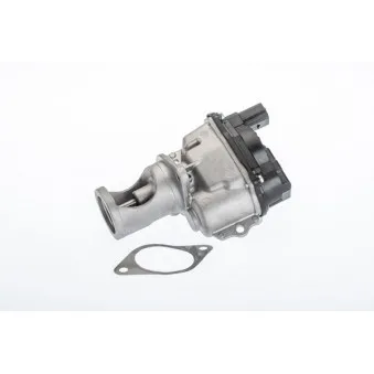 Vanne EGR WAHLER 710981R