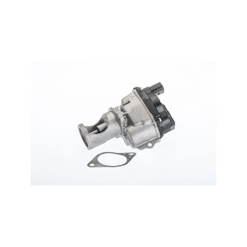 Vanne EGR WAHLER 710981R