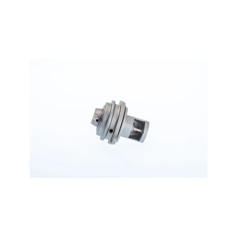 Vanne EGR WAHLER 710983R