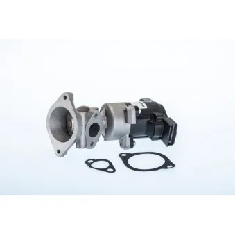 Vanne EGR WAHLER 710984R