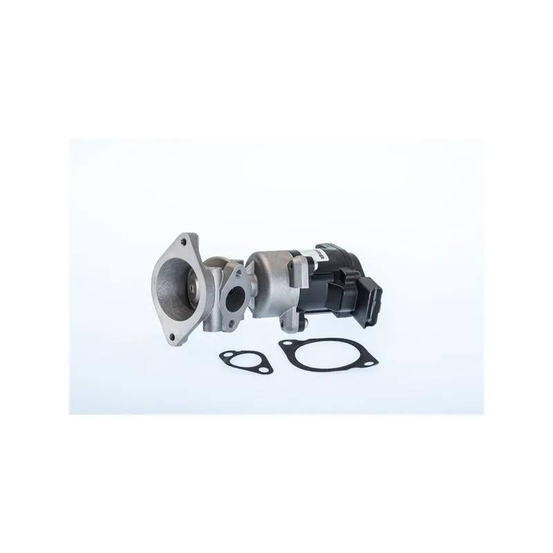 Vanne EGR WAHLER 710984R