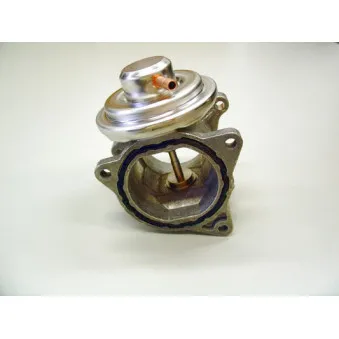 Vanne EGR WAHLER 7496D