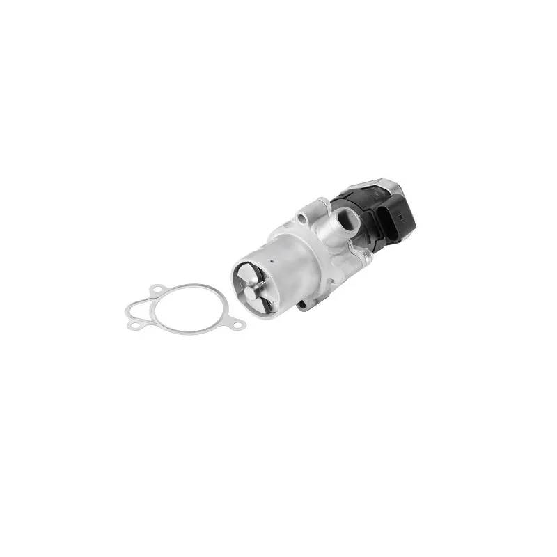 Vanne EGR WAHLER 7610R