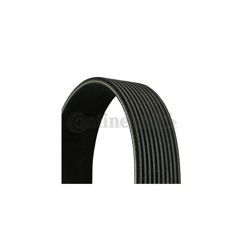 Courroie trapézoïdale à nervures CONTITECH 10PK1538