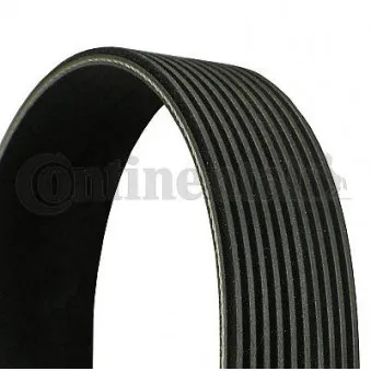 Courroie trapézoïdale à nervures CONTITECH 10PK1605