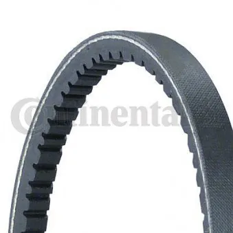 Courroie trapézoïdale CONTITECH 11,0X528Ld