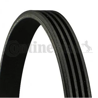 Courroie trapézoïdale à nervures CONTITECH 4PK1245