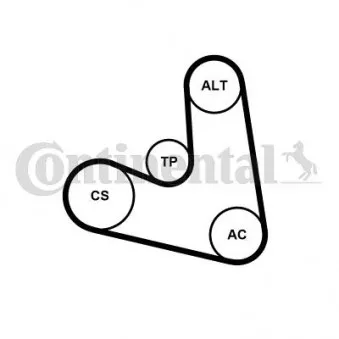 Jeu de courroies trapézoïdales à nervures CONTITECH 4PK654K1