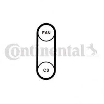 Jeu de courroies trapézoïdales à nervures CONTITECH 4PK711 ELAST T1