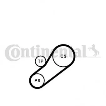 Jeu de courroies trapézoïdales à nervures CONTITECH 4PK735K1