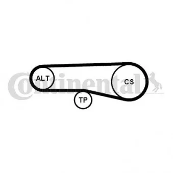 Jeu de courroies trapézoïdales à nervures CONTITECH 4PK890K1