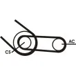 Jeu de courroies trapézoïdales à nervures CONTITECH 4PK916 ELAST T1 - Visuel 1