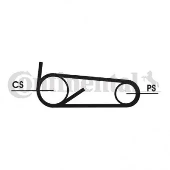 Jeu de courroies trapézoïdales à nervures CONTITECH 4PK922 ELAST T1