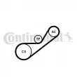 Jeu de courroies trapézoïdales à nervures CONTITECH 4PK925K1 - Visuel 1