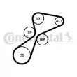 Jeu de courroies trapézoïdales à nervures CONTITECH 5PK1105K1 - Visuel 1