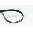 Courroie trapézoïdale à nervures CONTITECH 5PK1121 EXTRA - Visuel 1