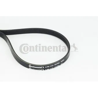 Courroie trapézoïdale à nervures CONTITECH 5PK1121 EXTRA
