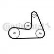 Courroie trapézoïdale à nervures CONTITECH 5PK1121 EXTRA - Visuel 2