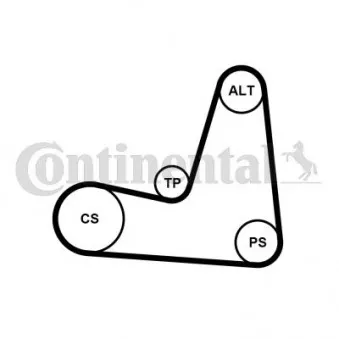 Jeu de courroies trapézoïdales à nervures CONTITECH 5PK1135K1