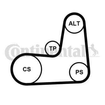 Jeu de courroies trapézoïdales à nervures CONTITECH 5PK1135K2