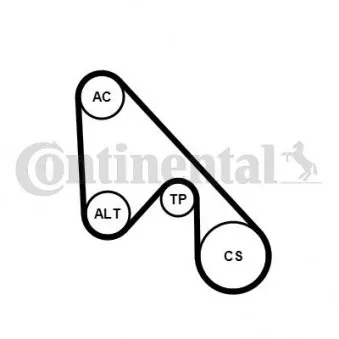 Jeu de courroies trapézoïdales à nervures CONTITECH 5PK1145K1