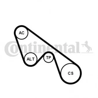 Jeu de courroies trapézoïdales à nervures CONTITECH 5PK1150K1