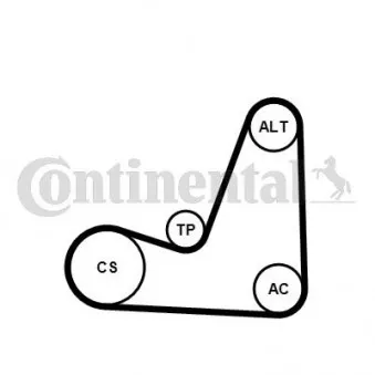 Jeu de courroies trapézoïdales à nervures CONTITECH 5PK1200K1