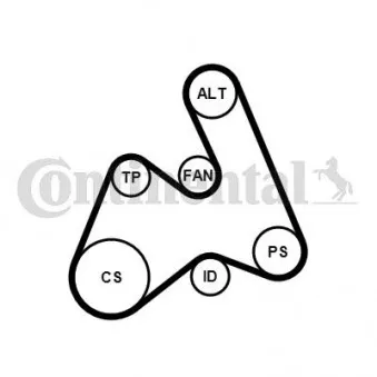 Pompe à eau+Jeu de courroie trapézoïdale à nervures CONTITECH 5PK1592WP1