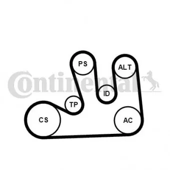 Pompe à eau+Jeu de courroie trapézoïdale à nervures CONTITECH 5PK1750WP1