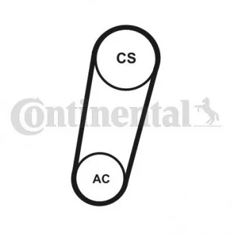 Jeu de courroies trapézoïdales à nervures CONTITECH 5PK705 ELAST T1