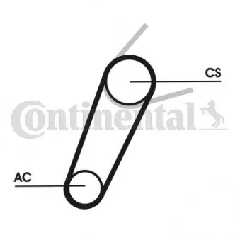 Jeu de courroies trapézoïdales à nervures CONTITECH 5PK711 ELAST T1