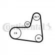 Jeu de courroies trapézoïdales à nervures CONTITECH 6PK1005K1 - Visuel 1