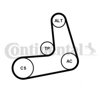 Jeu de courroies trapézoïdales à nervures CONTITECH 6PK1005K2