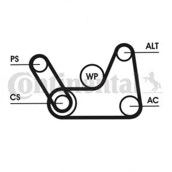 Jeu de courroies trapézoïdales à nervures CONTITECH 6PK1019 ELAST T1