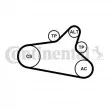 Jeu de courroies trapézoïdales à nervures CONTITECH 6PK1020 EXTRA K1 - Visuel 1